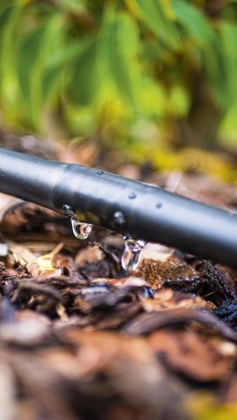 Tropfschlauch - 100 Meter mit Druckkompensation