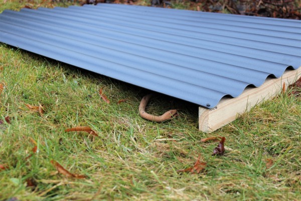 Schlangenunterschlupf GTH-SU Reptilien- und Schlangenplatten (PVC)