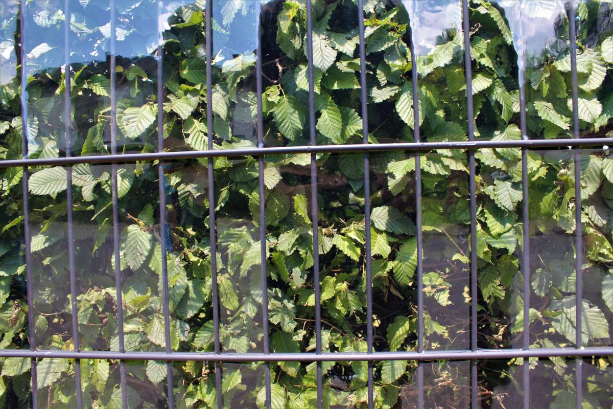 Blickstopp Sichtschutzstreifen Für Doppelstabzaun – PVC, 35 M Grün, Inkl. Clips, Wind- Und Blickdicht