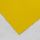 Individuelle PVC Plane GLÄNZEND, 680g/m²