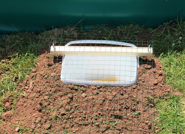 Prädatorenschutz GTH-PSG Reptilien/Amphibien