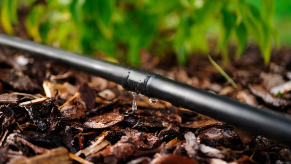 Tropfschlauch - 100 Meter mit Druckkompensation