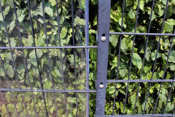 Windschutzstreifen PVC TRANSPARENT 40 Meter